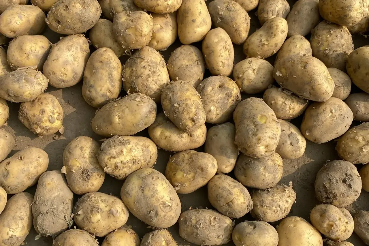 Kako brzo prodati višak proizvoda (bez spuštanja cijene)?